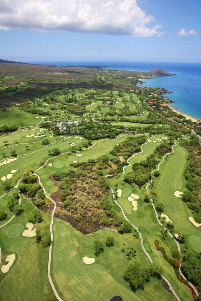 Detail of Emerald and Gold courses and pro shop at Wailea Golf Resort by Anonymous