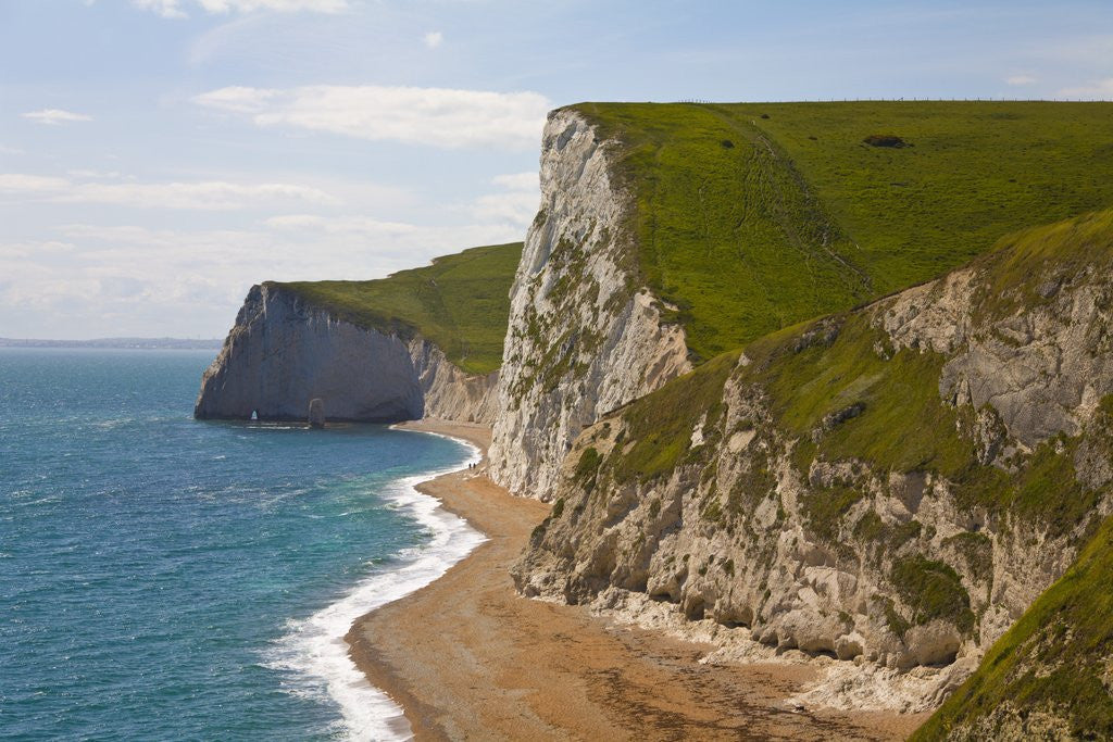 Detail of Cliffs above Lulworth Cove on Dorset's Jurassic Coast by Corbis