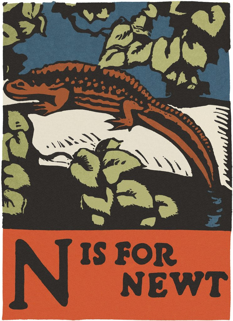 Detail of N is for newt by Anonymous