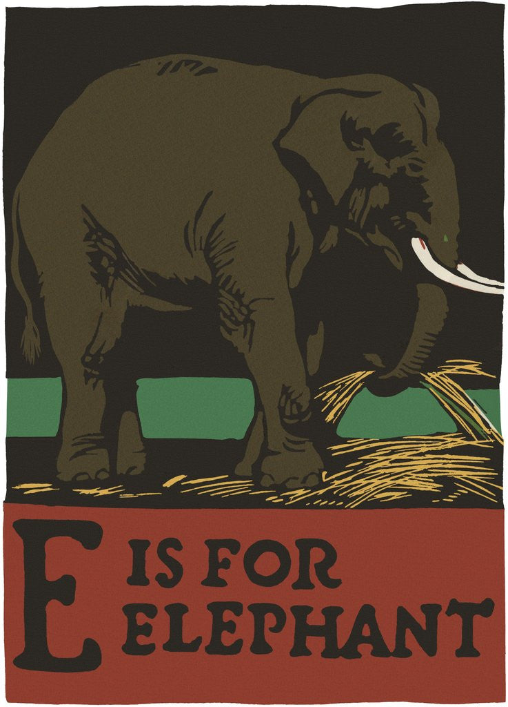 E is for elephant by Corbis