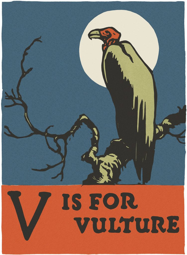 Detail of V is for vulture by Corbis