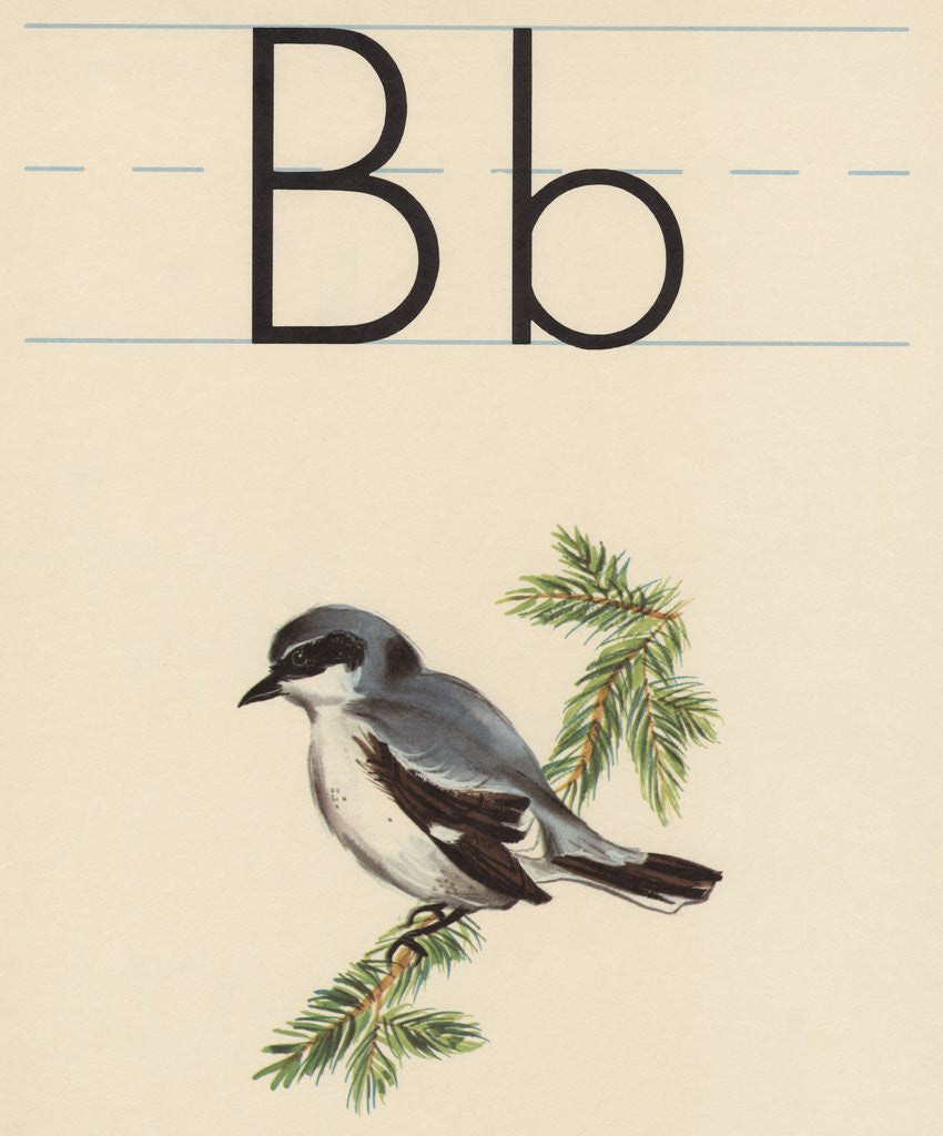 Detail of B is for bird by Corbis