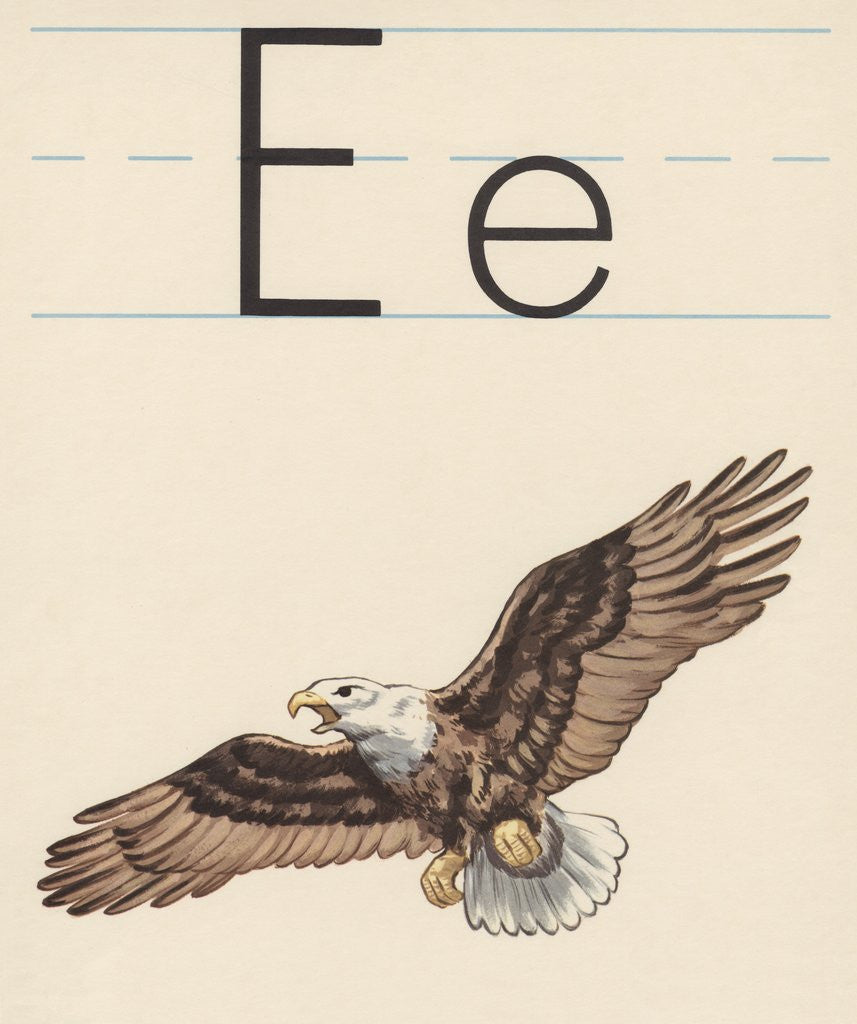 Detail of E is for eagle by Corbis