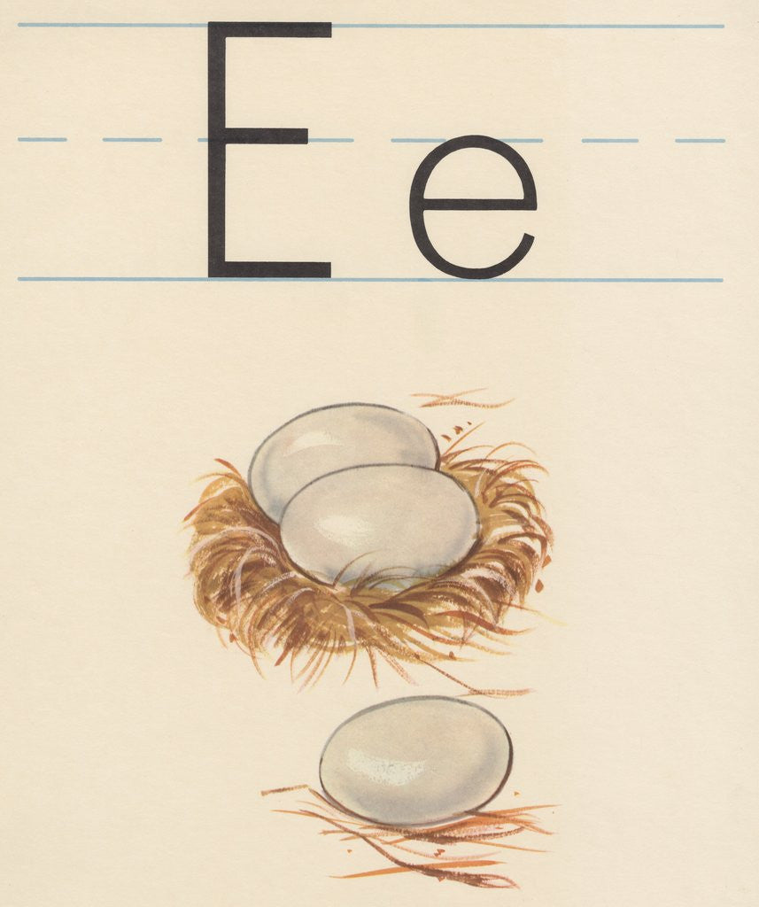 Detail of E is for egg by Corbis