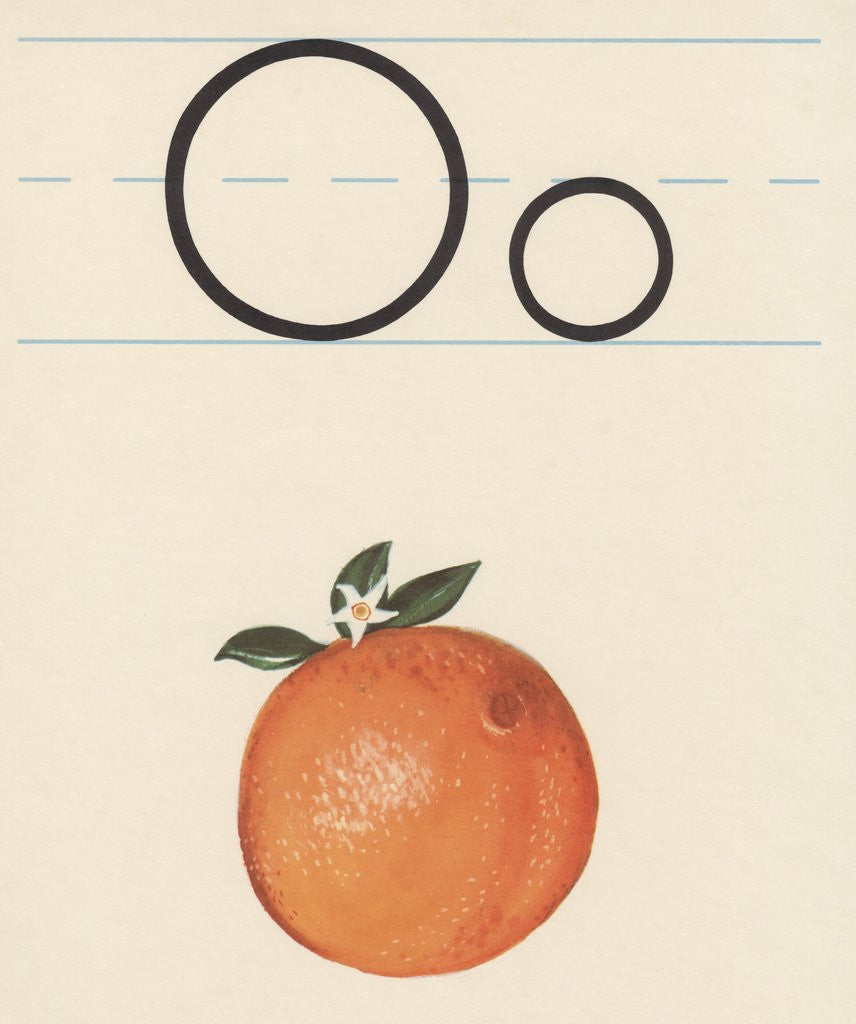 Detail of O is for orange by Corbis
