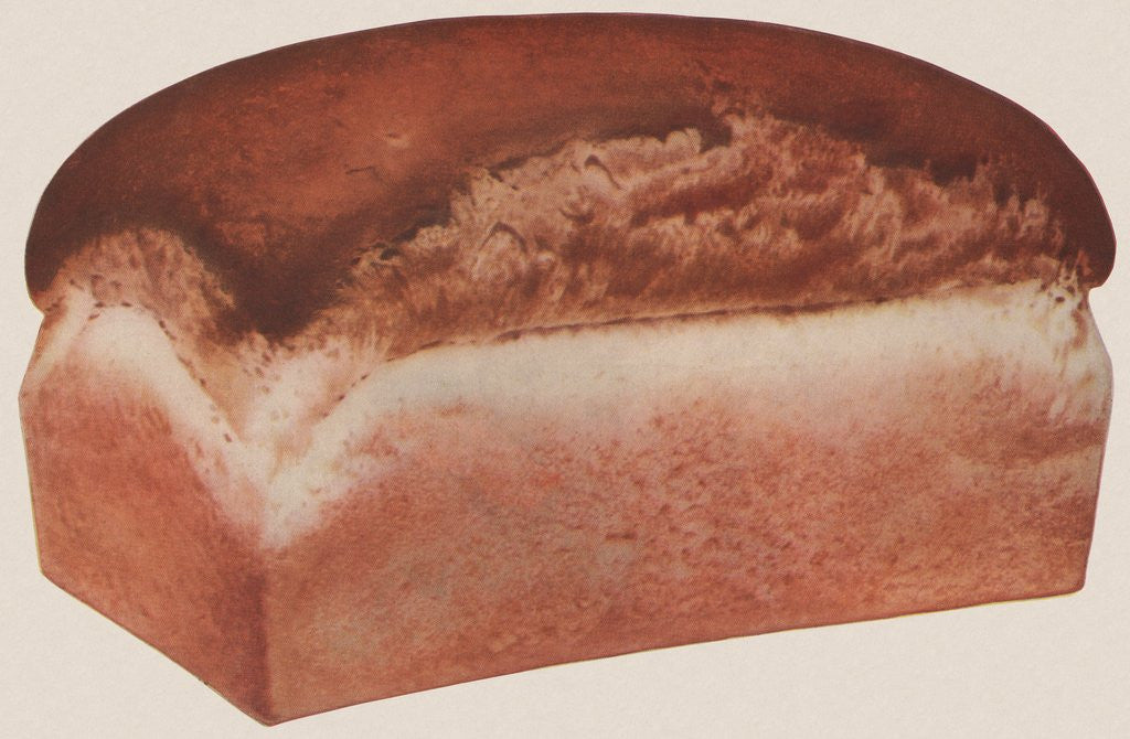 Detail of Fresh baked loaf of bread by Anonymous