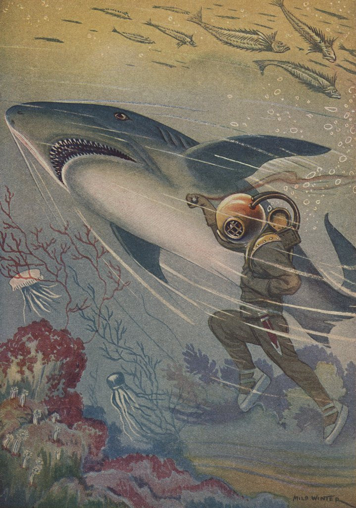 Detail of Illustration of diver with shark by Anonymous