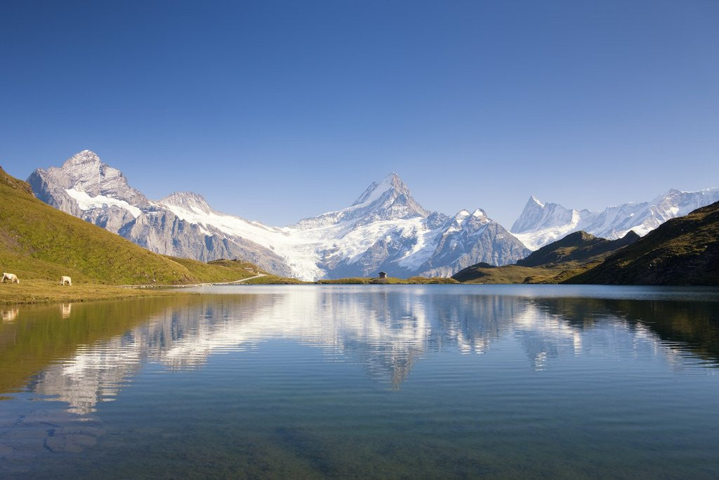 Detail of Wetterhorn , Schreckhorn and Finsteraarhorn reflecting in Lake Bachalp by Anonymous