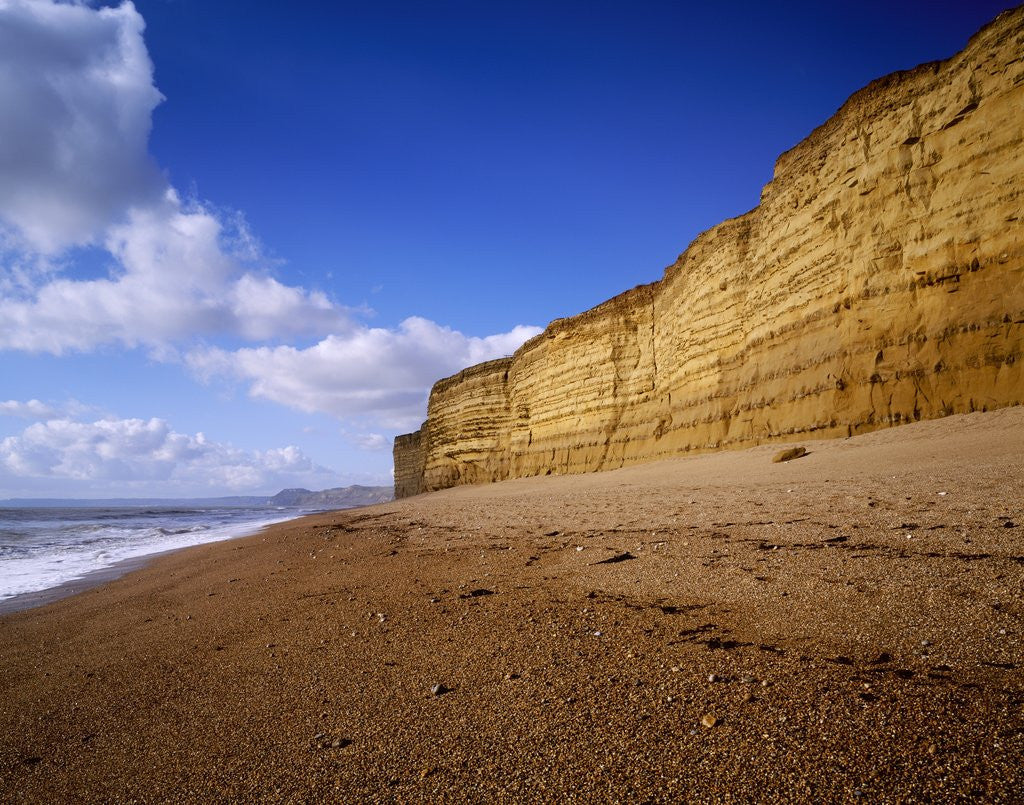 Detail of Burton Beach at Burton Bradstock on the Dorset Jurassic Coast by Anonymous