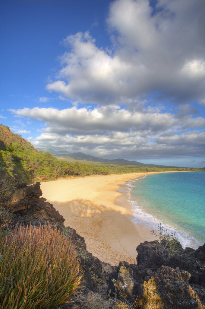 Detail of Oneloa Beach in Makena State Park on Maui by Anonymous