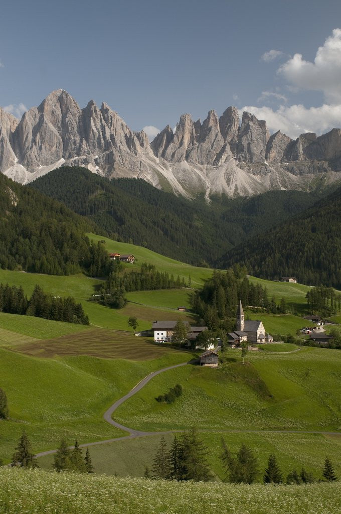 Detail of Santa Maddalena in the Italian Dolomites by Anonymous
