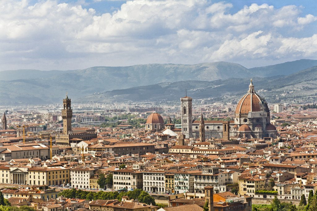 Detail of Florence Italy, skyline by Anonymous
