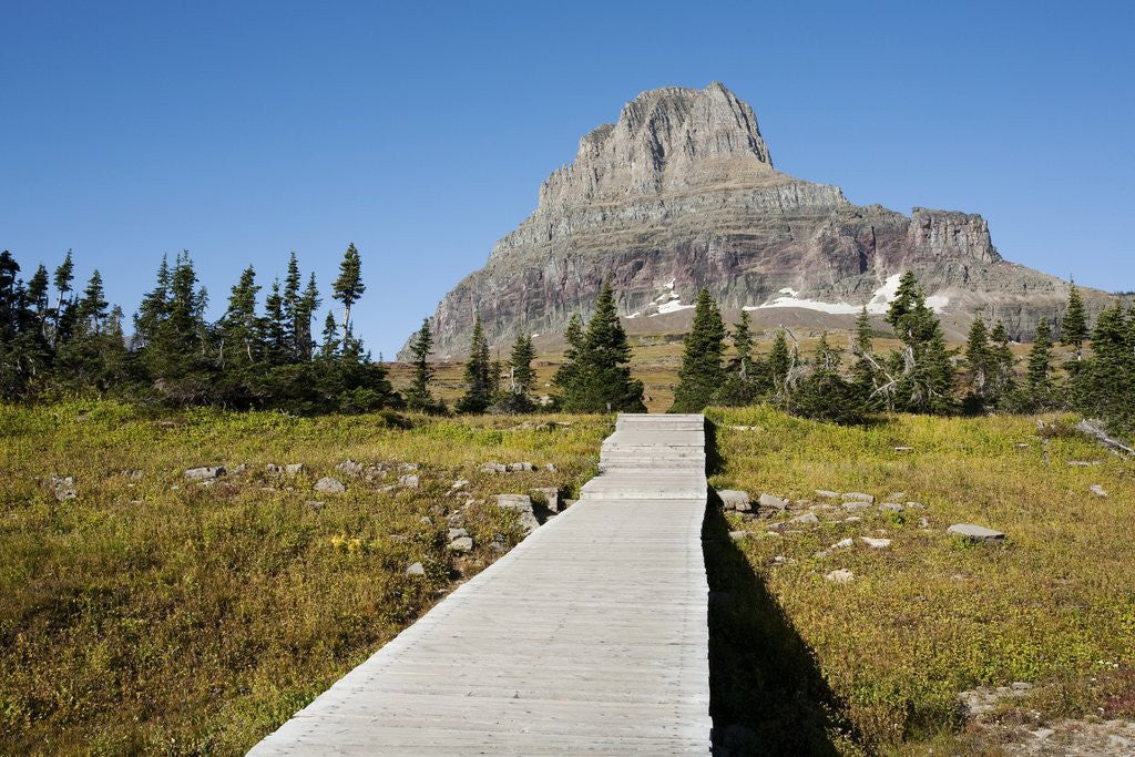 Detail of The pathway to the view of Hidden Lake by Anonymous