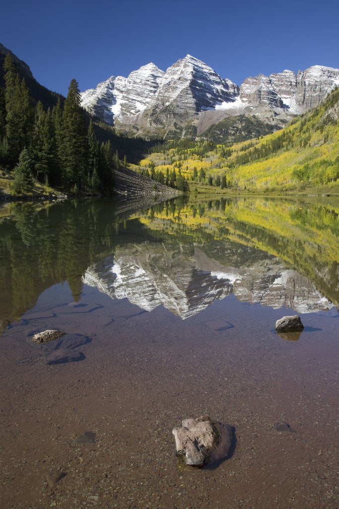 Detail of Aspens reflecting in lake under Maroon Bells, Colorado by Corbis