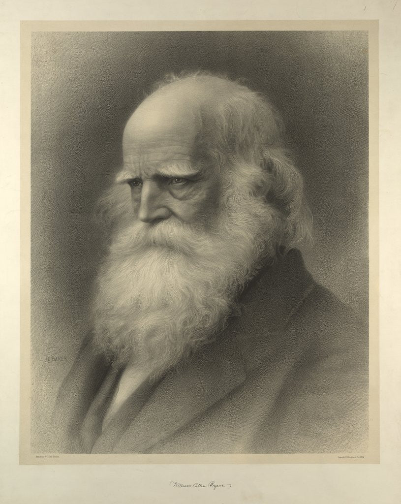 Detail of William Cullen Bryant by Anonymous