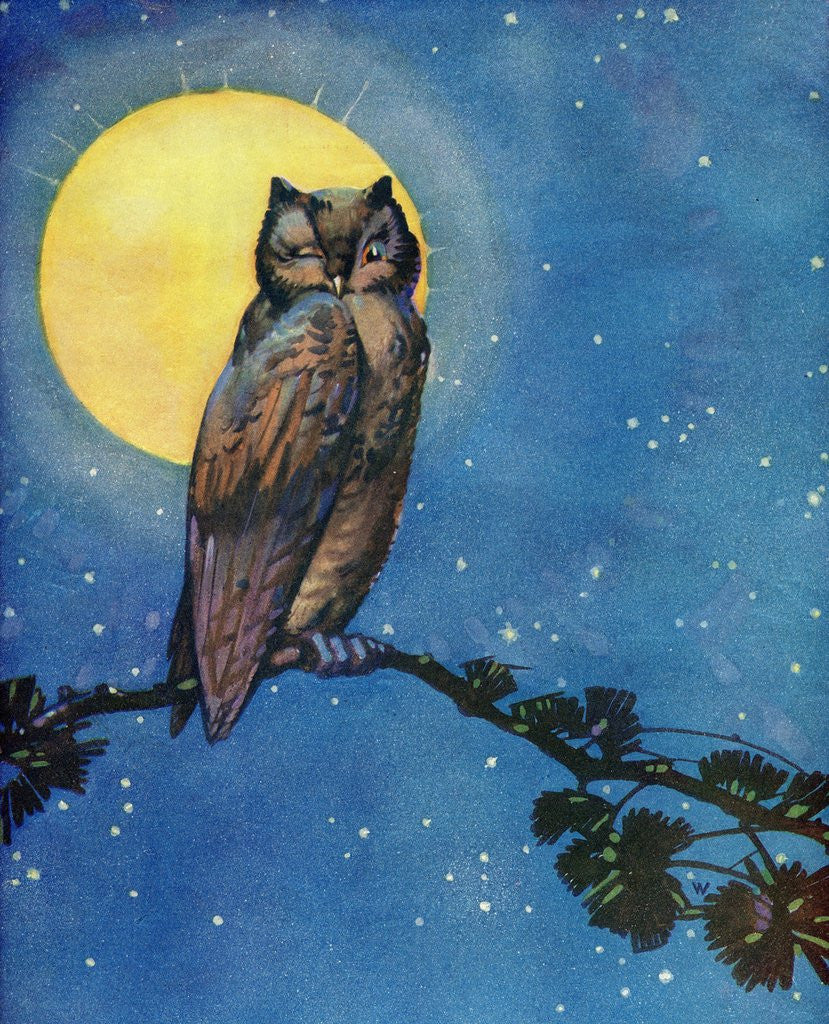 Detail of Winking owl with full moon by Anonymous