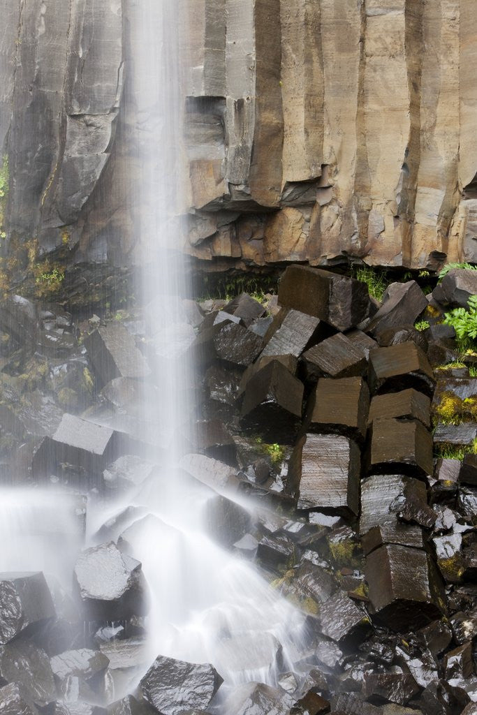 Detail of Svartifoss Waterfall, Skaftafell National Park, Iceland by Anonymous