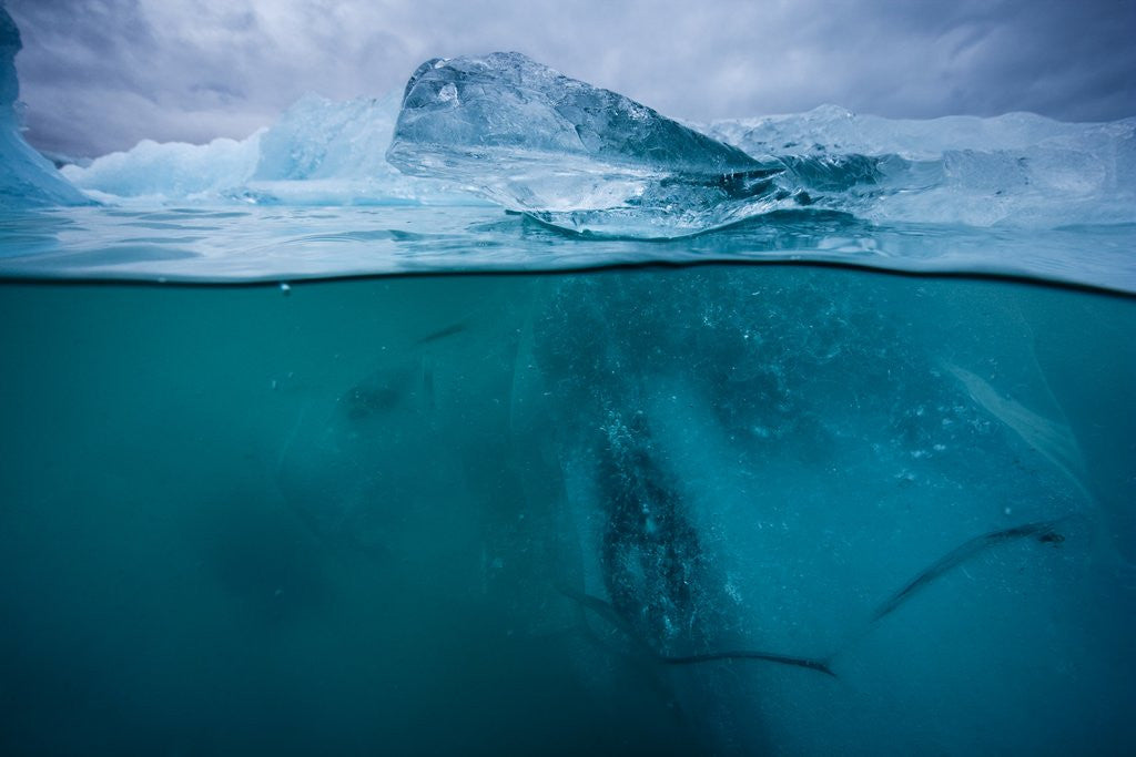Detail of Icebergs in Jokulsarlon, Iceland by Anonymous