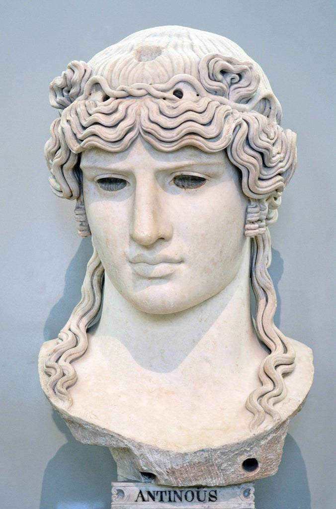 Detail of Sculpture of Antinous Mondragone by Anonymous