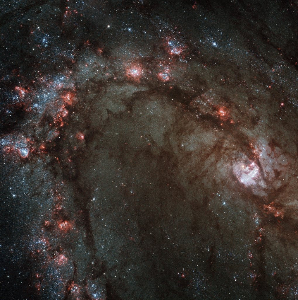 Detail of Star Birth in the Southern Pinwheel Galaxy by Anonymous