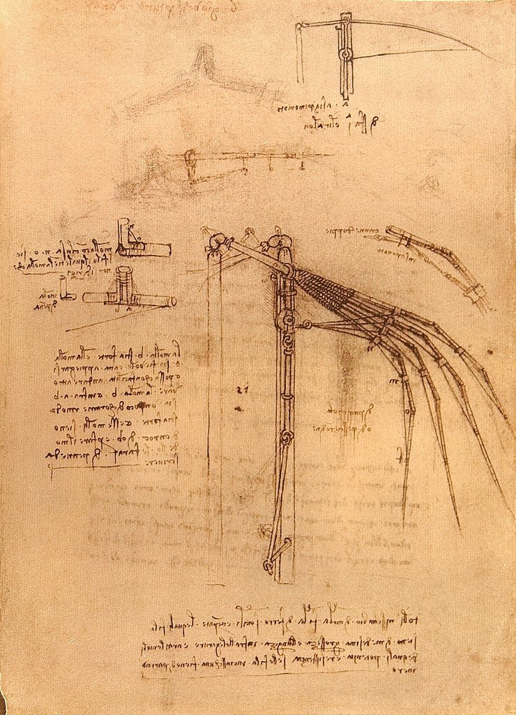 Detail of Sketch for a wing with moveable ends by Leonardo da Vinci