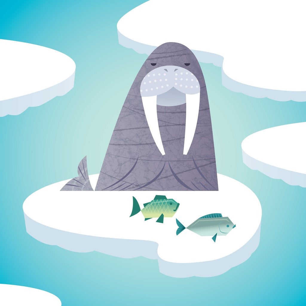Detail of Walrus on pack ice by Anonymous