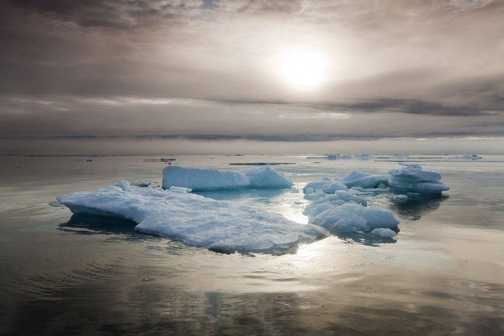 Detail of Melting Sea Ice, Svalbard, Norway by Corbis