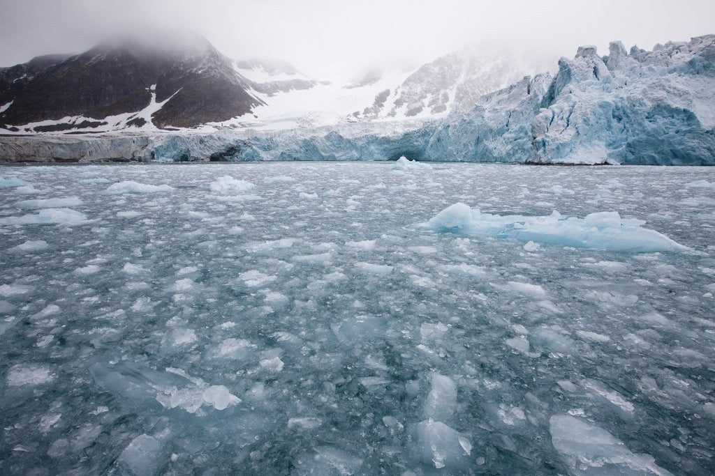 Detail of Glacier, Spitsbergen Island, Svalbard, Norway by Anonymous