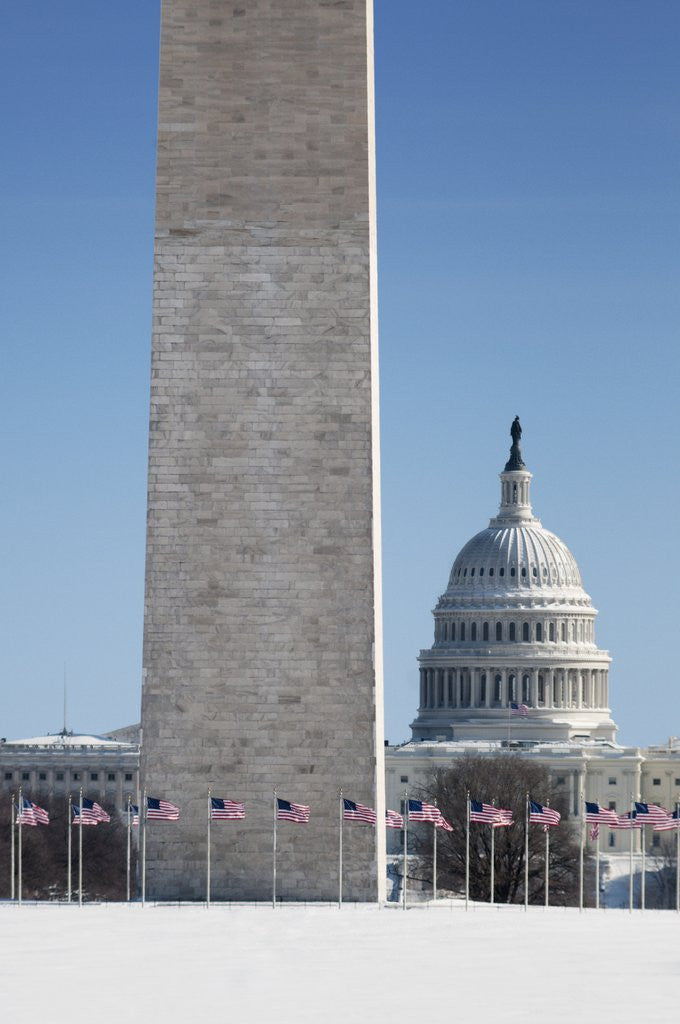 Detail of Snowy Washington Monument and U.S. Capitol building by Anonymous