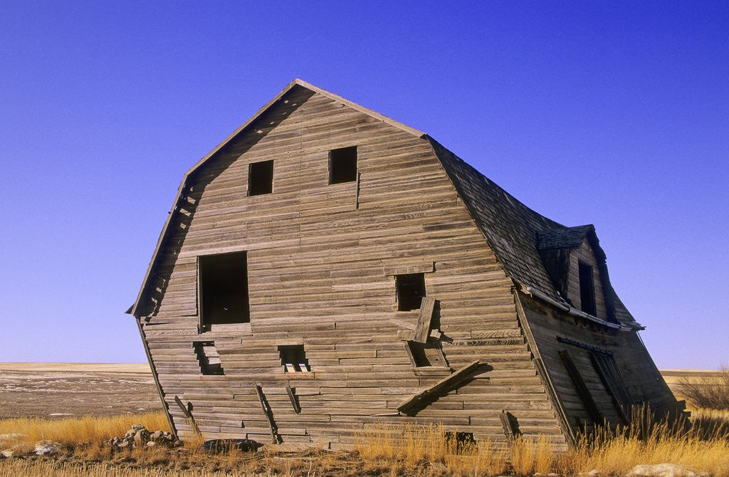 Detail of Abandoned Farm Buildings, Canadian Prairies, Canada by Corbis