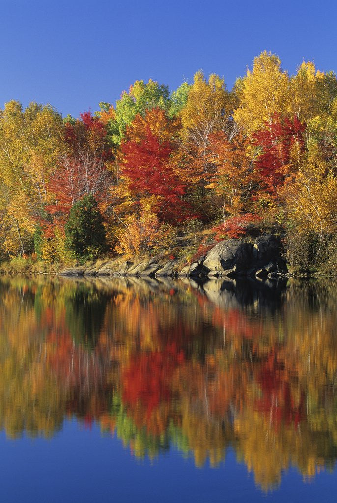Detail of Simon Lake Reflection, Naughton, Ontario, Canada by Corbis