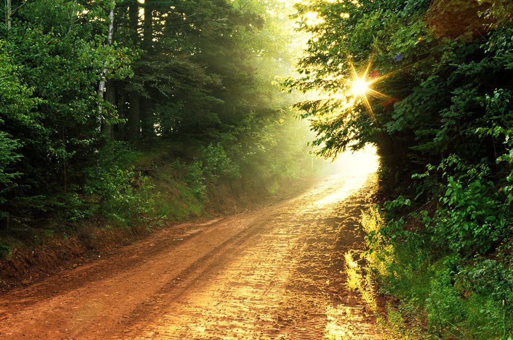 Detail of Clay Road, South Melville, Prince Edward Island, Canada by Anonymous
