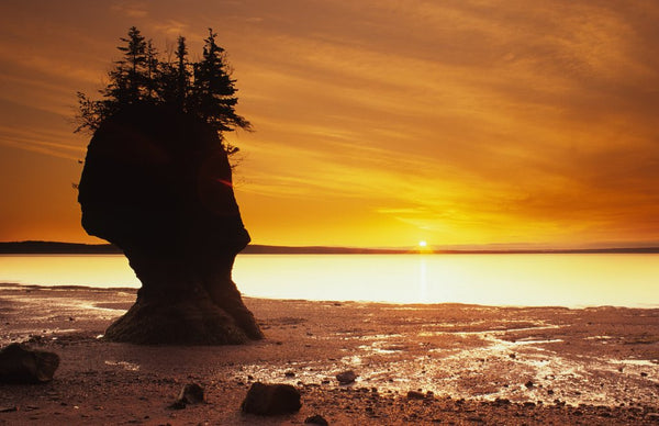 Hopewell Rocks, New Brunswick, Canada posters & prints by Anonymous