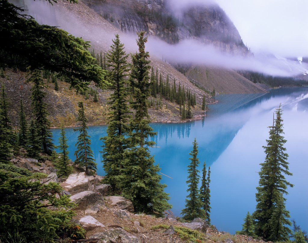Detail of Moraine Lake, Banff National Park, Alberta, Canada by Anonymous