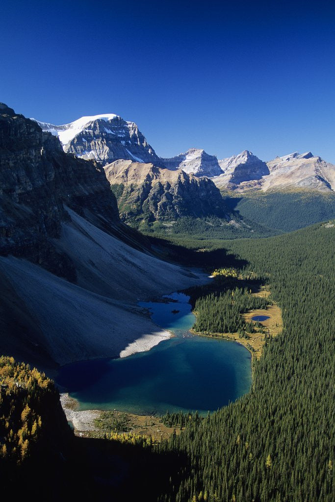 Detail of Ball Range, Banff National Park, Alberta, Canada by Anonymous