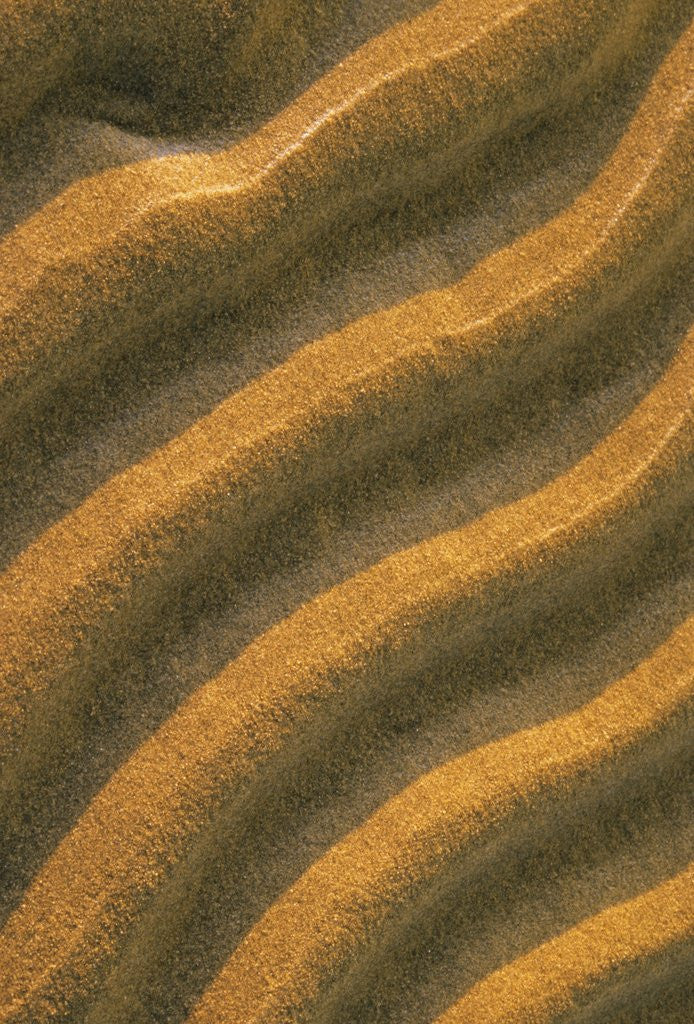 Detail of Ripples in the Sand at Singing Sands (also Known As Dorcas Bay) in Bruce Peninsula National Park, Ontario, Canada by Anonymous