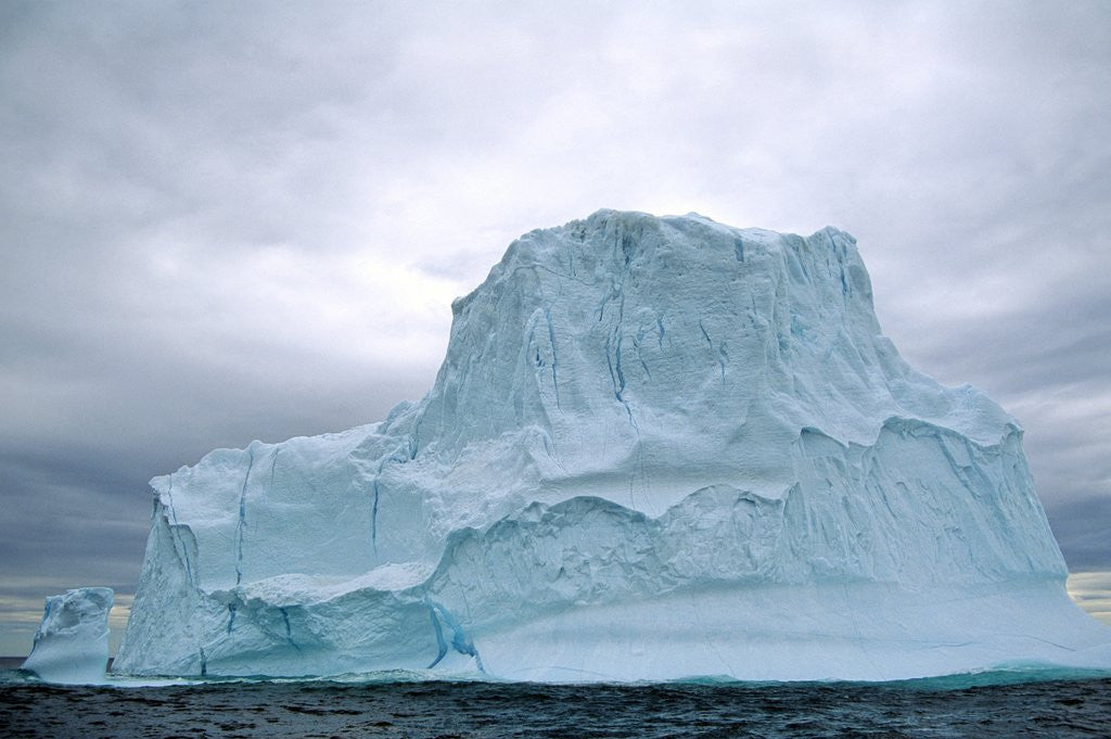 Detail of Iceberg, Witless Bay Ecological Reserve, Newfoundland, Canada by Corbis