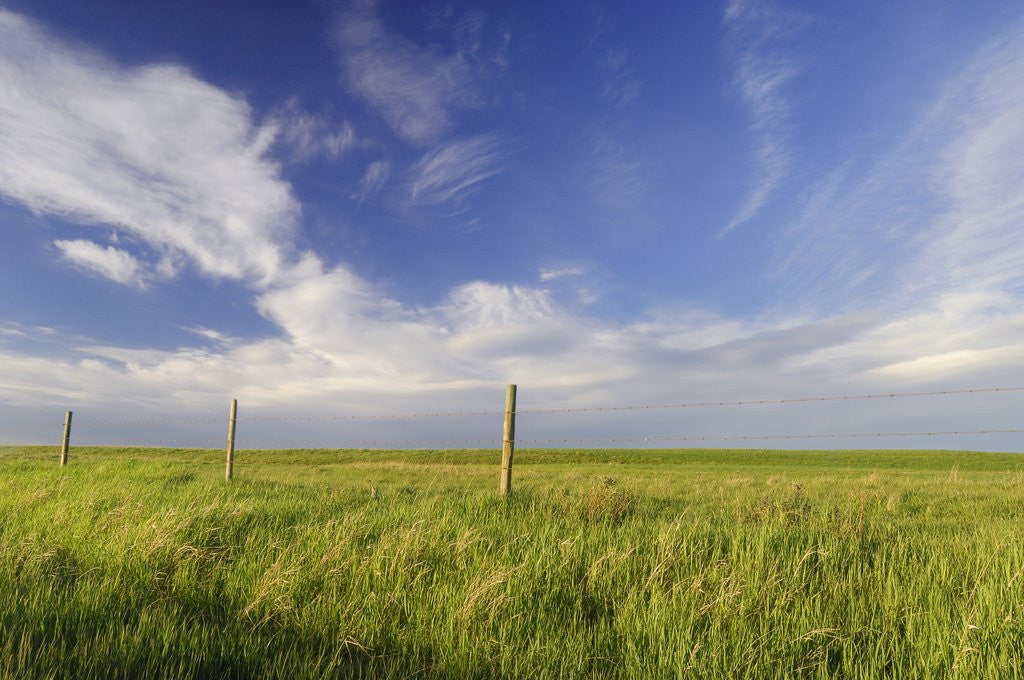 Detail of Active Prairie Sky and Farm Fenceline West of Calgary, Alberta, Canada. by Anonymous