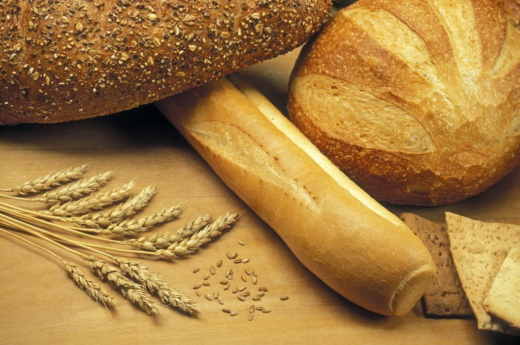 Detail of Bread and Wheat, Winnipeg, Manitoba, Canada. by Anonymous
