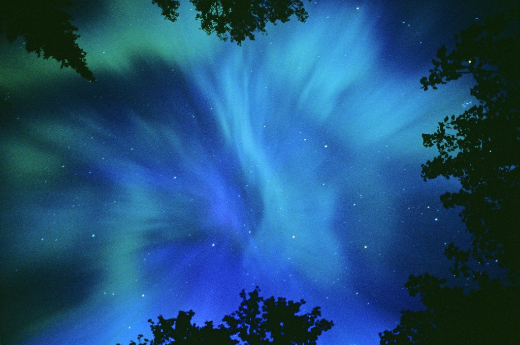 Detail of Northern Lights Or Aurora Borealis, Tilton Lake, Sudbury, Ontario, Canada. by Anonymous