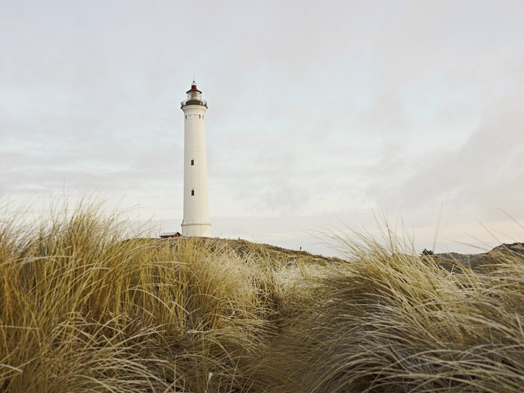 Detail of Lighthouse by Anonymous