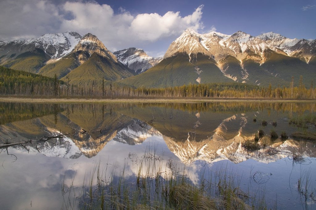 Detail of Mt. Vaux and Chancellor Peak, Yoho National Park, British Columbia, Canada by Anonymous