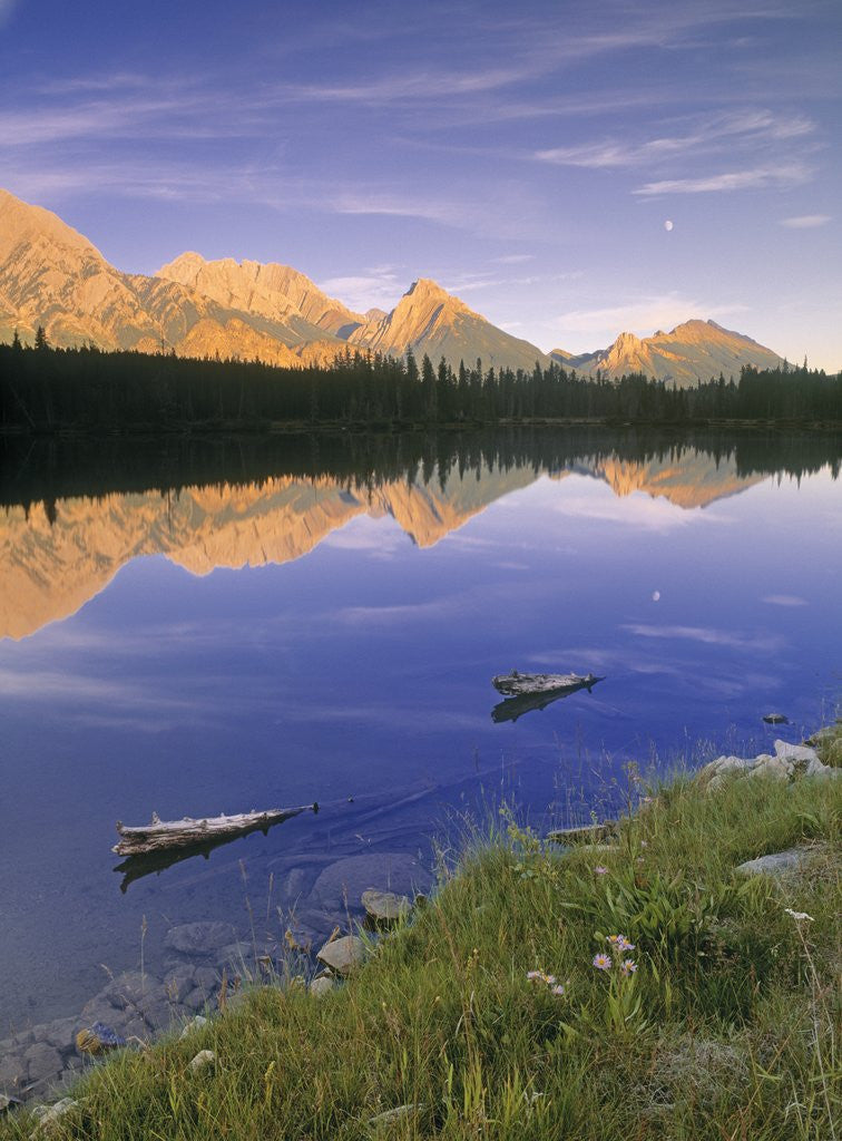 Detail of Spillway Lake and the Opal Range, Peter Lougheed Provincial Park, Kananaskis Country, Alberta, Canada by Anonymous