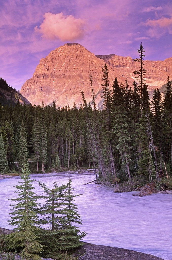 Detail of Mt. Stephen and the Kicking Horse River, Yoho National Park, British Columbia, Canada by Anonymous