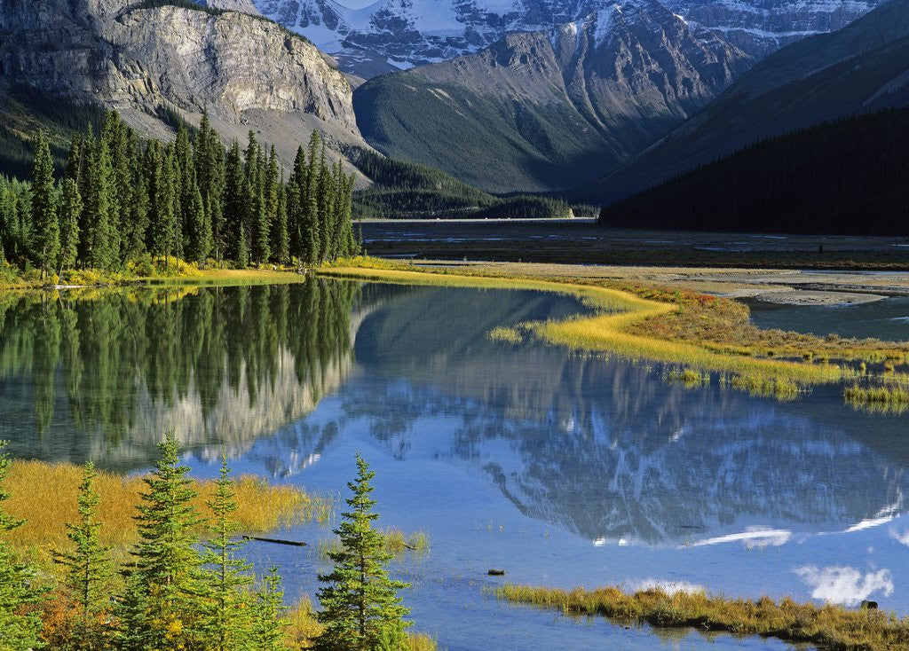 Detail of Mount Kitchener Reflected in Pond Near the Beauty Creek Hostel, Jasper National Park, Alberta, Canada by Anonymous