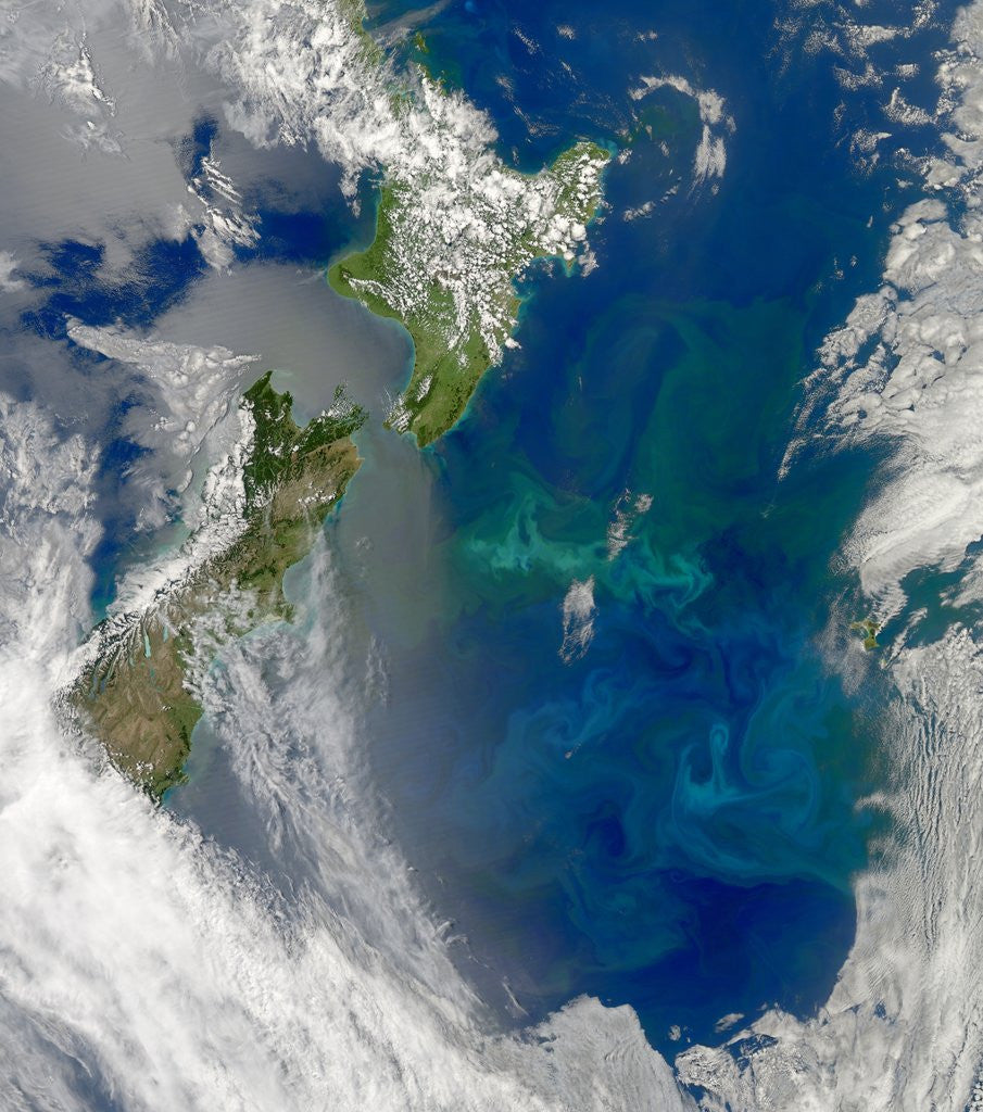 Detail of Phytoplankton Bloom in the Pacific Ocean East of New Zealand by Anonymous