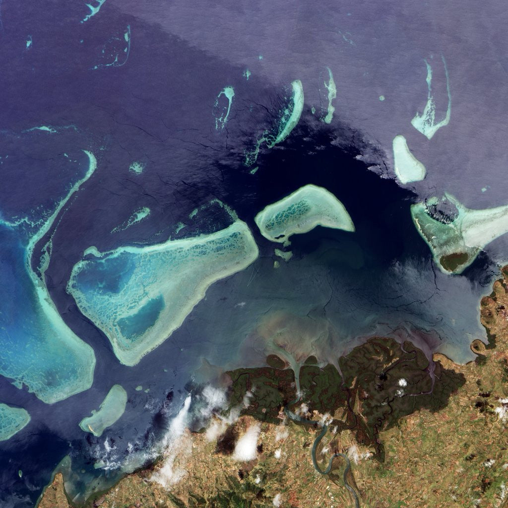 Detail of Coral Reefs off of Viti Levu, Fiji by Anonymous