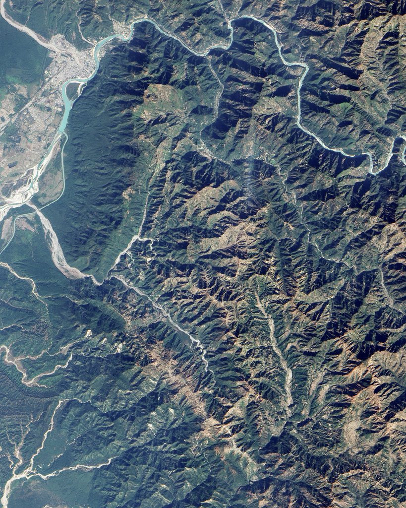 Detail of Rajaji National Park Along the Ganges River in India by Anonymous