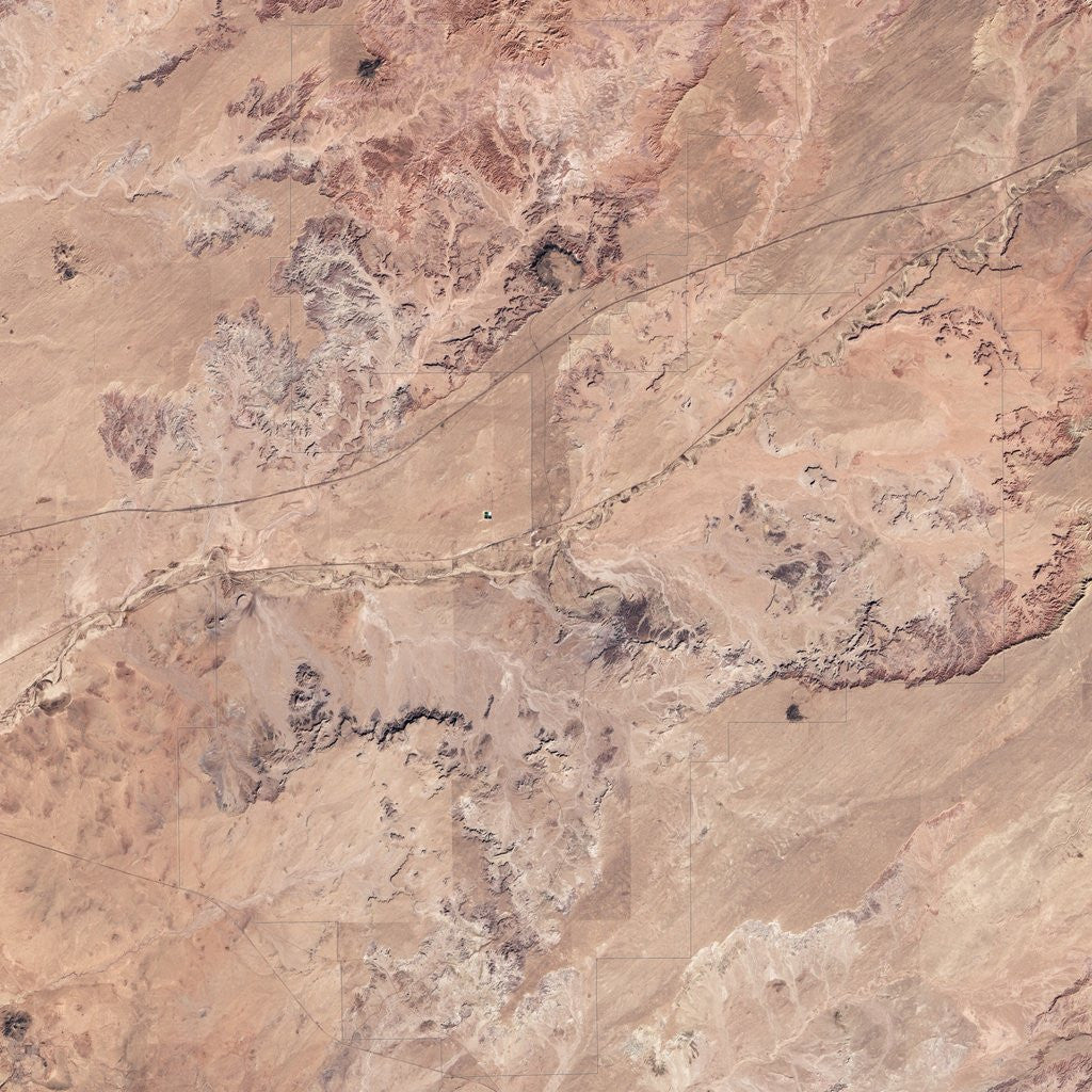 Detail of Petrified Forest National Park in Arizona by Anonymous