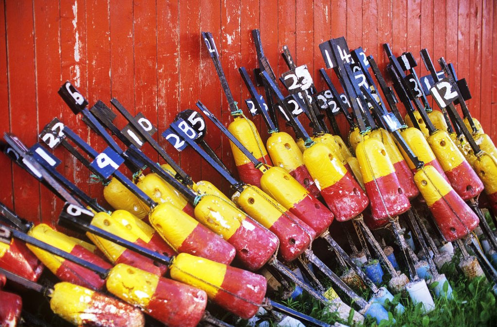 Detail of Lobster, Buoys, Judes Point, Tignish, Prince Edward Island, Canada by Anonymous